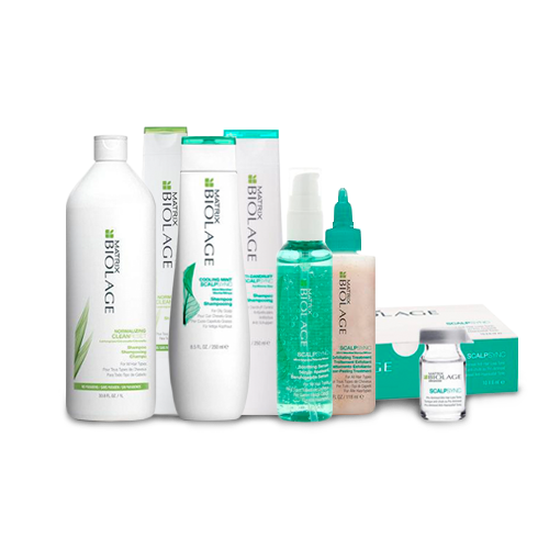 Matrix Biolage Scalpsync